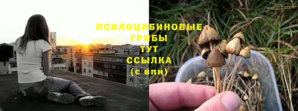 круглые Алексеевка