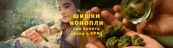 дмт Алзамай