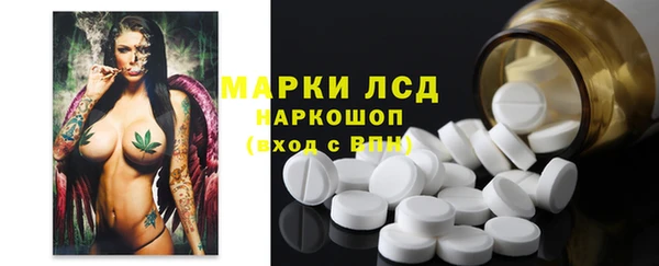 дмт Алзамай