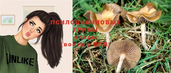 круглые Алексеевка